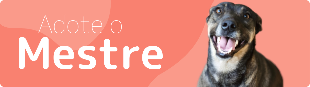 Adote o Mestre